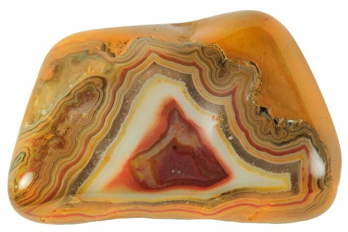 Polished Banded Fairburn Agate - Nebraska #189379